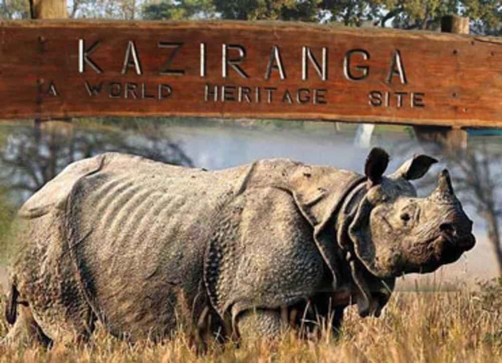 Kaziranga National Park