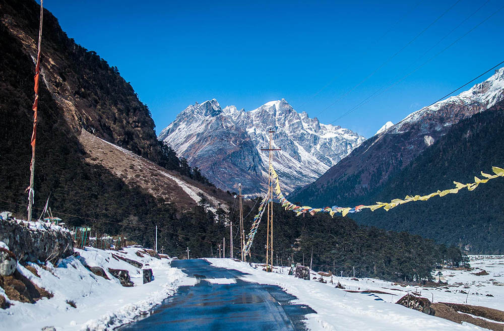 Yumthang Valley